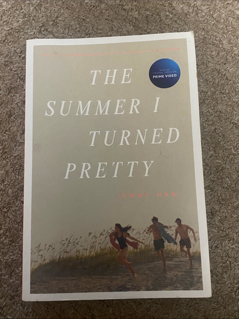 Indigo The Summer I turned Pretty